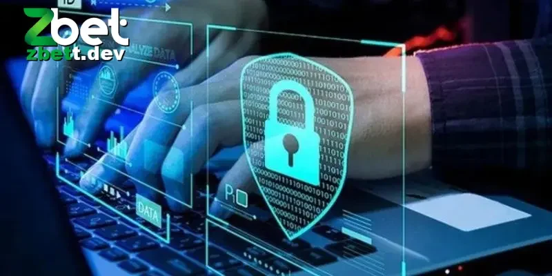 Chính Sách Riêng Tư Zbet: Bảo Mật Thông Tin Người Chơi 2 Thông Tin Người Chơi Mà Zbet Thu Thập